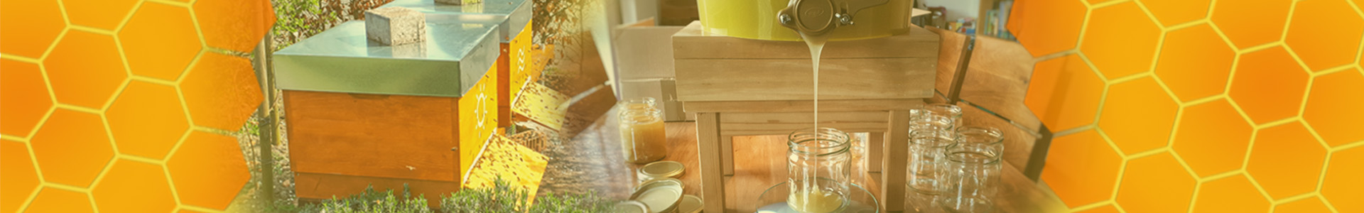 Header-Banner_Startseite-Imker_1920x300